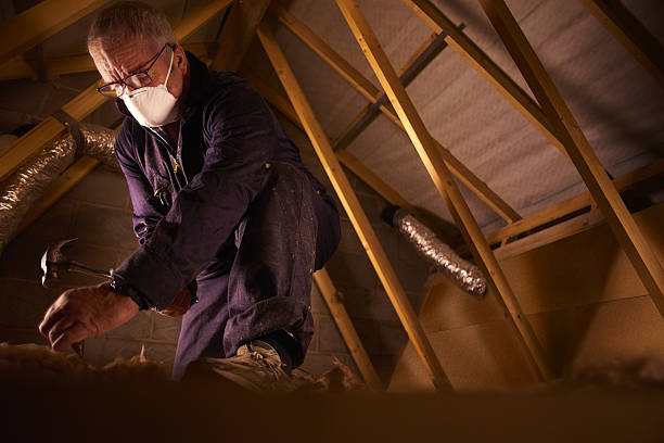 Best Eco-Friendly Insulation in South Milwaukee, WI